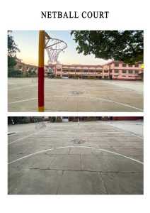 Net Ball Court